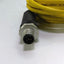 Used Lot of 2 Turck U2515-65 Cable, 10' long, 3 Conductor, M8 Female Connector