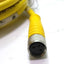 Used Lot of 2 Turck U2515-65 Cable, 8' long, 3 Conductor, M8 Female Connector
