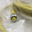 New Allen-Bradley 1485D-A3C3-R4 DeviceNet Cable Straight Micro 4-Pin DeviceLink 3m