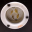 Used Hubbell HBL2415 Turn-Locking Male Receptacle & Enclosure, 125/250V, 20A, 3 Pole