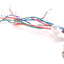 Used Lot Of 5 Turck US-06877/RXF 106-0.3M/14.5/NPT W/LN Receptacle Cable 10Pin Female