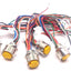 Used Lot Of 5 Turck US-06877/RXF 106-0.3M/14.5/NPT W/LN Receptacle Cable 10Pin Female