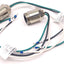 Used Lot of 2 Turck U2-12103/GSDF 32-0.3M/14.5/NPT Male Receptacle Cable, 3-Pole