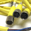Used Lot of 3 Allen Bradley AB 889P-F3AB Pico Cordsets 3-Pin to Flying Leads 5ft Long