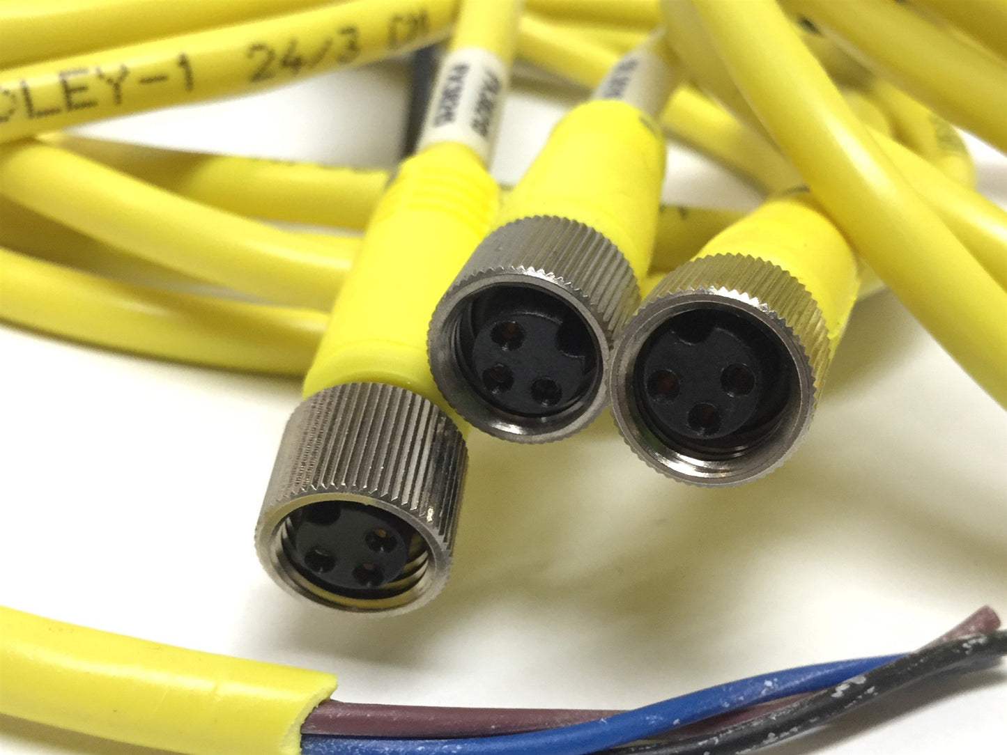 Used Lot of 3 Allen Bradley AB 889P-F3AB Pico Cordsets 3-Pin to Flying Leads 5ft Long