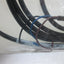New Allen Bradley 889P-F3BB-2 Quick-Disconnect Cable, Pico Straight Connection
