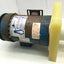 Used Penguin P-3/4BHP Vertical Pump & Motor, 70GPM, 3/4HP, 46' Head, 208-230/460VAC