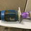Used Penguin P-5CK Vertical Pump & Motor, 172GPM, 208-230/460VAC, 5HP, 122' Head
