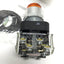 New Allen Bradley 800T-PB26AA2 Illuminated Push Button Momentary Switch 240VAC Light
