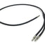 Used Banner BF23P Bifurcated Fiber Optic Cable Glass Probe In: 4.6mm, L:3' *Damaged*