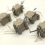 Used Lot of 51 Weidmuller WDU 2.5 W-Series Feed-Thru Terminal Blocks 800V
