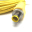 New – Open box Lumberg Automation ASB2 4/3-610/5M Y-Splitter Cable, 4-Pin M12 to Flying Leads