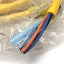 New Allen Bradley 889N-F5AF-12F Quick Disconnect Cordset, Length: 12ft, 5-Pin Female