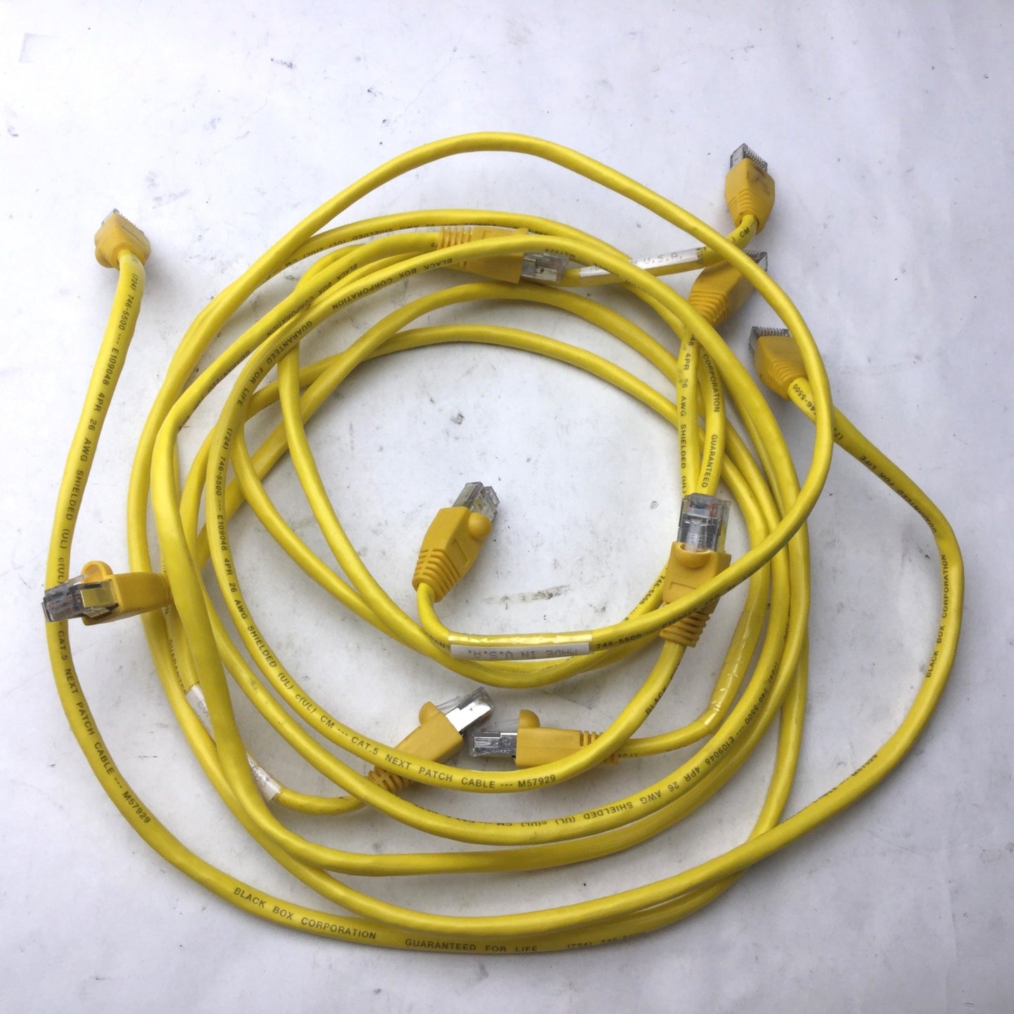 Used Lot of 5 Black Box Corp EVNSL60YL-0003 Ethernet Cable, RJ-45 to RJ-45, Straight