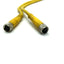 Used Lot of 2 Turck VBRS 4-2PKG 3M-0.2/0.2/S651 Cable Splitter M12 4-Pin to M8 3-Pin