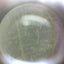 Used Leica Zoom 2000 Stereo Microscope 10x Eye 10.5-45x Objective