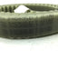 New Continental 25T10/1960 Contitech Synchroflex Timing Belt W: 25mm L: 1960mm