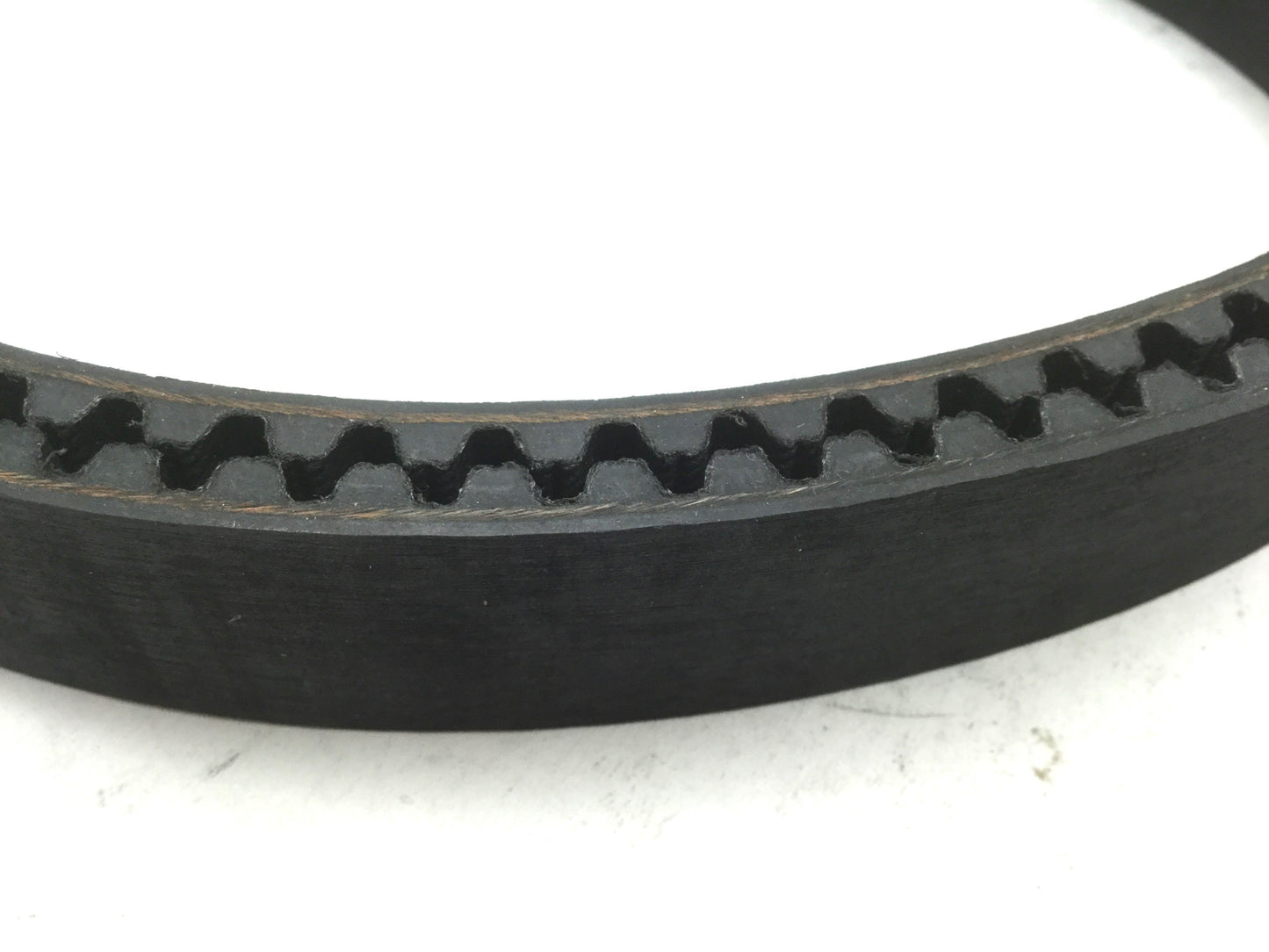 New Megadyne 1352-GLD8-30 Timing Belt Teeth: 169, L: 1352mm, W: 30mm, Pitch: 8mm
