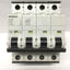 Used Siemens 5SY66 MCB C10 C-Curve Miniature Circuit Breaker 4-Pole (3P+N) 10A 400VAC