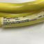 Used Allen Bradley 889M-F12AH Cordset Cable, 12-Pin Mini Plus Female Connector, 1.5m