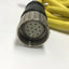 Used Allen Bradley 889M-F12AH Cordset Cable, 12-Pin Mini Plus Female Connector, 1.5m
