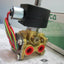 New ASCO EF8316G302 Redhat Air Inert Gas 3-Way NC Solenoid Valve, 24VDC Coil, 3/8"
