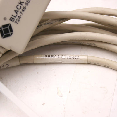 Used Black Box USBR01-0016-R2 Computer Cable, 16 Feet Long, Type A USB