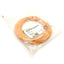 Used Telemecanique XSZ CD102 091421 Cable, M12 4-Pin Female to 4x Flying Leads, 5m