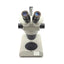 Used NOVEX RZB-PL Binocular Zoom Stereo Microscope With Base 6.5x To 45x Zoom, 90mmWD