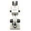 Used NOVEX RZB-PL Binocular Zoom Stereo Microscope With Base 6.5x To 45x Zoom, 90mmWD