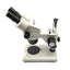 Used NOVEX RZB-PL Binocular Zoom Stereo Microscope With Base 6.5x To 45x Zoom, 90mmWD