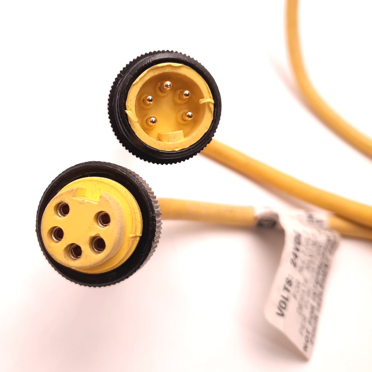Used Allen-Bradley 1485R-P1N5-M5 DeviceNet Cable,5 Pin, 24v DC, 3.0 Amps, 1m Length