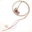 Used PHD 17502-1-06 REED Switch, NPN Sink or PNP Source, 4.5v-24v DC, with 17000-33-0