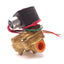 New Asco EF8221G3 Red-Hat II Solenoid Valve, Coil: 24V, Pressure: 5-150psi, 1/2" NPT