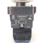 Used Teknic 2ALF3LB Illuminated Flush Momentary Actuator With Shamrock SH-1911 Valve