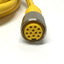 Used Turck RKM 126 U-00110 Minifast Cordset Cable, Female 12-Pin, Leads *Cut to 12ft*