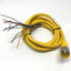 Used Turck RSM 126 U-00278 Minifast Cordset Cable, Male 12-Pin, Leads *Cut to 12ft*
