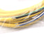 New Cognex IVSL-5PM12-5 External Light Power Cable, M12 5-Pin To Flying Leads, 5m