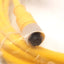 New Mencom MDCP-8FP-5M Cordset, 8-Pin M12 Female to Flying Leads, 5m Long, 60V 2A
