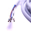 New Festo NEBU-M8G4-K-2.5-LE4 Single End Cordset M8 4-Pin Female A-Code to Leads