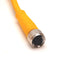 New Turck PKG 3M-5 Cordset, 3-Pin M8 Female to Flying Leads, 5m Long