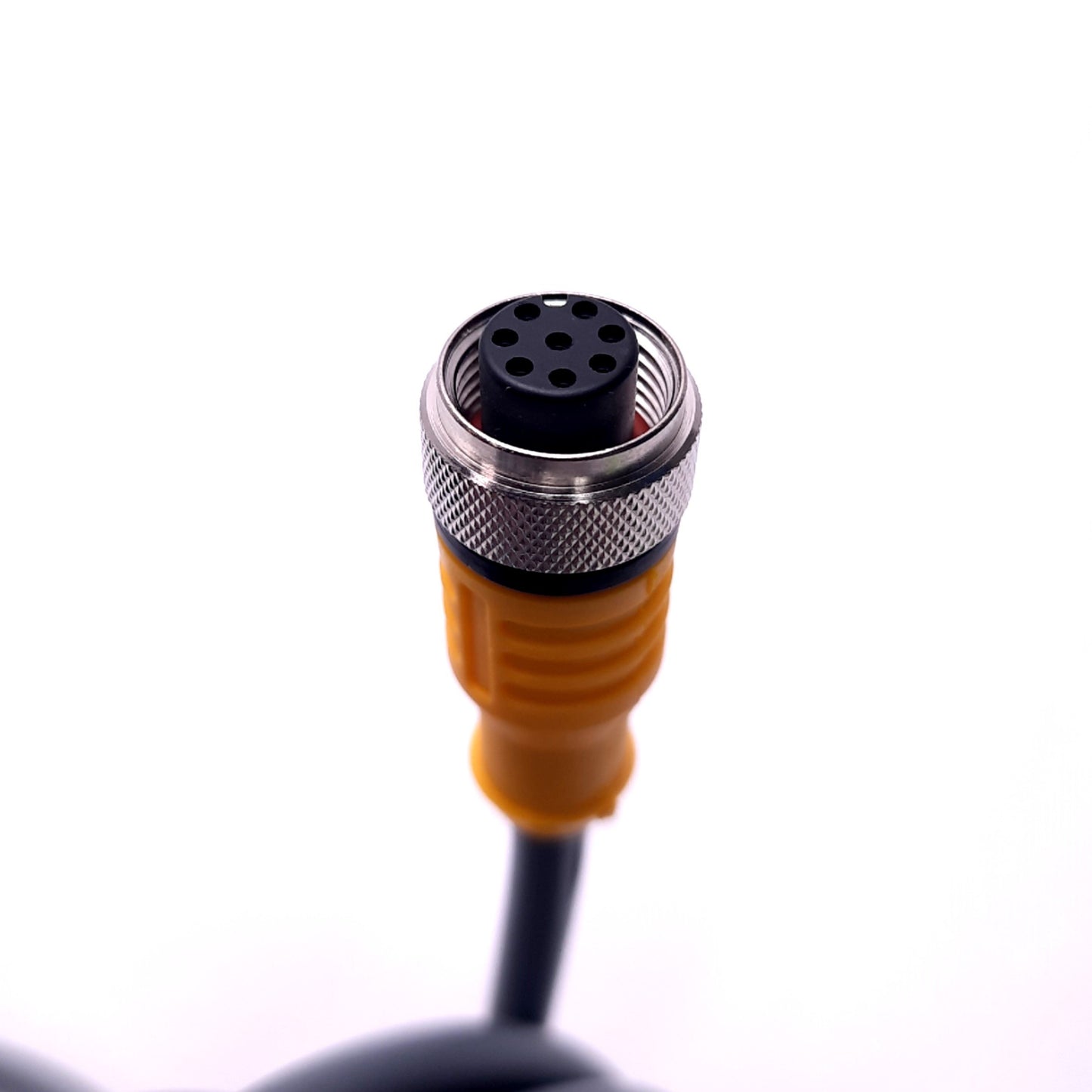 New Turck RKC 8T-5 U5311-52 Single End Cordset M12 8-Pin Female, 5m Length