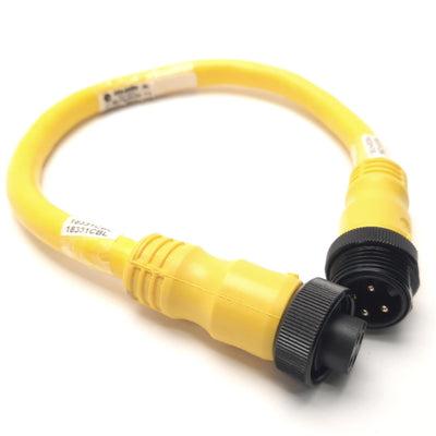 Used Allen-Bradley 889N-F4AFNM-03M Patch Cord Mini/Mini Plus 4Pin Male to Female, 1Ft