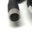 Used Banner MQDC2S-1206 Single-Ended Cordset Cable, M12 12-Pin Connector, *Cut*