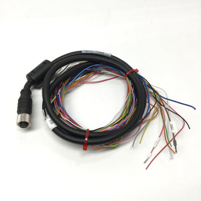 Used Banner MQDC2S-1206 Single-Ended Cordset Cable, M12 12-Pin Connector, *Cut*