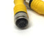 Used Cognex CCB-M12LTF-01 In-Sight Vision Light Power/Strobe Control Cable, M12 5-Pin