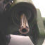 Used Duff Norton M2501-15B Worm Gear Actuator, 15" Lift, 1 Ton Capacity, Upright