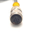 Used Turck RK4,4T-2-RS4.4T Double End Cordset M12 4-Pin M-F, 2m Length, 250v 4A