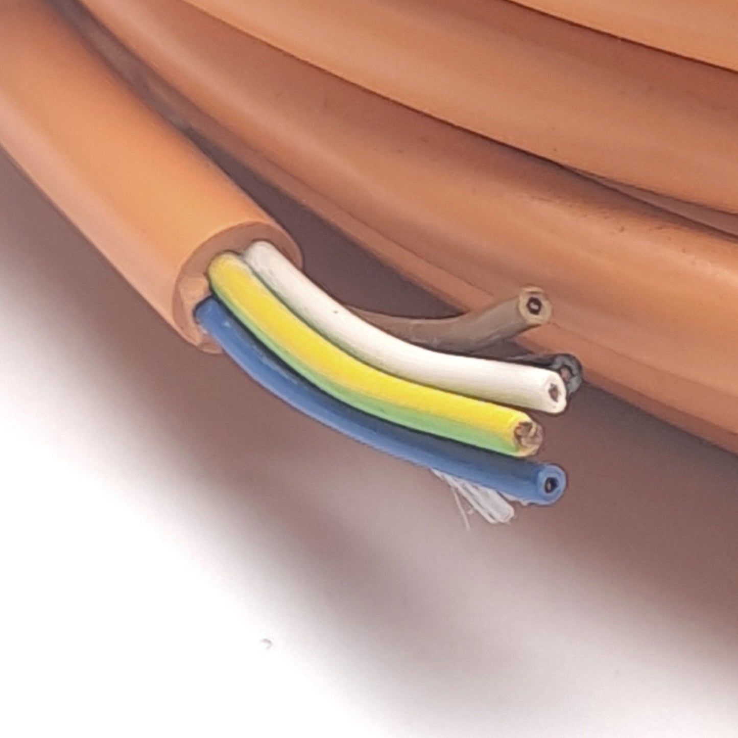 New Lumberg Automation RKT 5B-48/20M Single-Ended Cordset, M12 Female 5-Pin, 50/60V