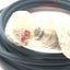 New – Open box Phoenix Contact E335024 Network Cable M12 4-Pin to RJ45, 5m Length , 60v DC 0.5A